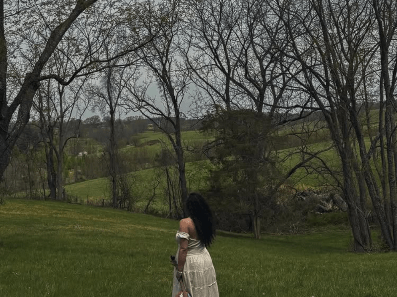 Beautiful Bouquets of Words and Melancholic Melodies: An Interview with The Last Living&nbsp;Rose