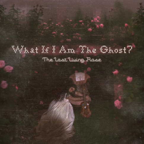 Lingering On Haunting Beauty – The Last Living Rose’s What If I Am The Ghost?